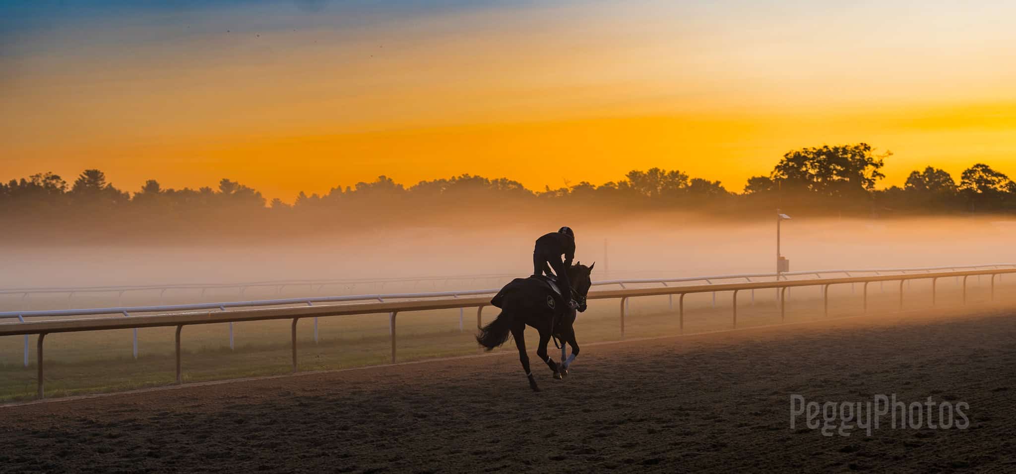 Racehorse in morning workout at sunrise with Jena Antonucci Racing